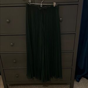 Zara Dark Green Pleated Pants/Skirt